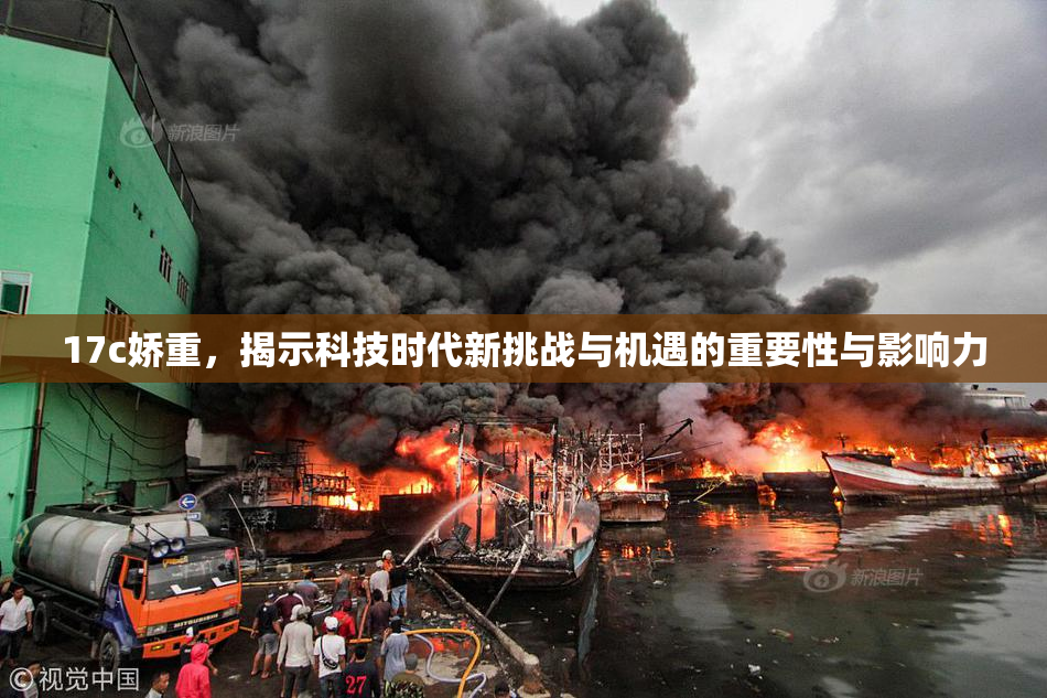 17c娇重，揭示科技时代新挑战与机遇的重要性与影响力