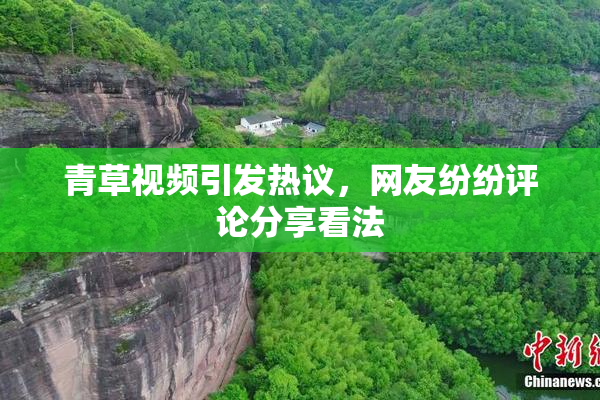 青草视频引发热议，网友纷纷评论分享看法