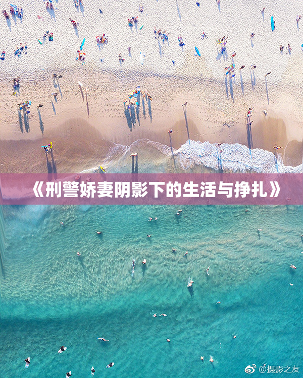 《刑警娇妻阴影下的生活与挣扎》