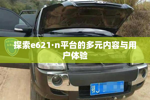 探索e621·n平台的多元内容与用户体验
