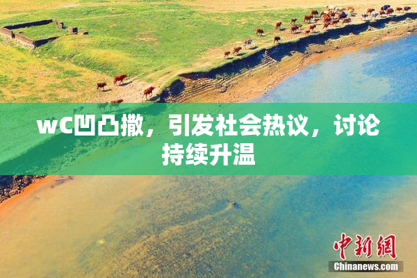 wC凹凸撒，引发社会热议，讨论持续升温