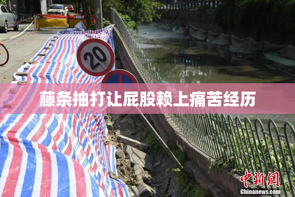 藤条抽打让屁股赖上痛苦经历