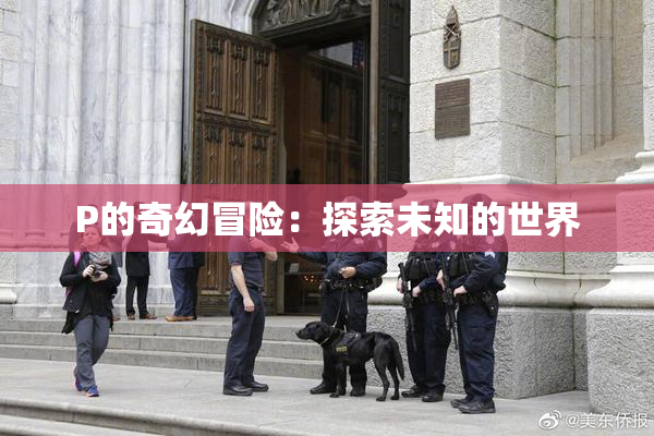 P的奇幻冒险：探索未知的世界