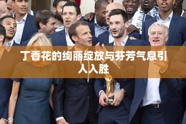 丁香花的绚丽绽放与芬芳气息引人入胜