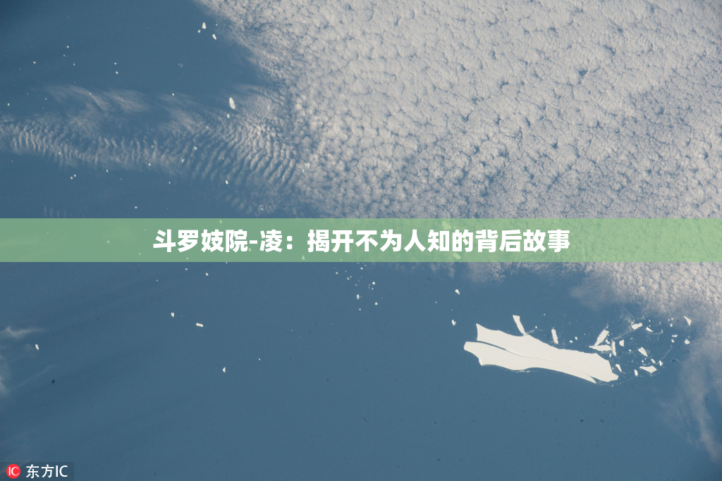 斗罗妓院-凌：揭开不为人知的背后故事