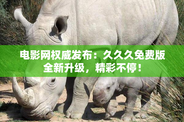 电影网权威发布：久久久免费版全新升级，精彩不停！