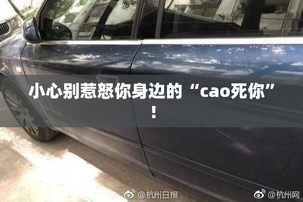 小心别惹怒你身边的“cao死你”！