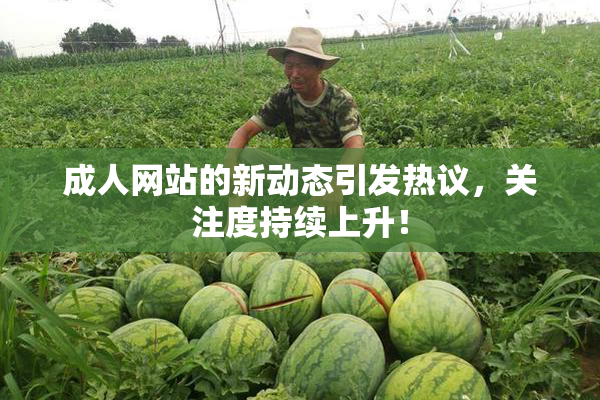 成人网站的新动态引发热议，关注度持续上升！