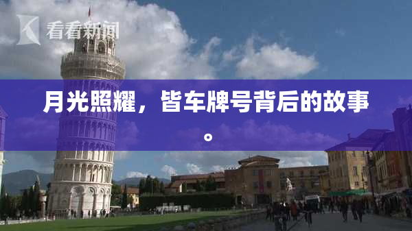 月光照耀，皆车牌号背后的故事。