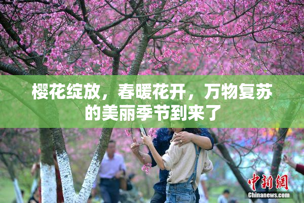樱花绽放，春暖花开，万物复苏的美丽季节到来了