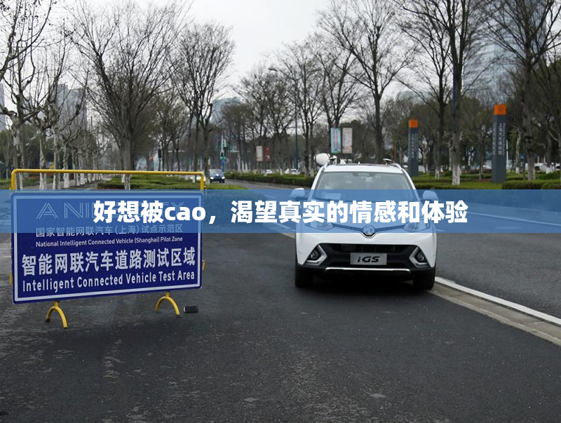 好想被cao，渴望真实的情感和体验