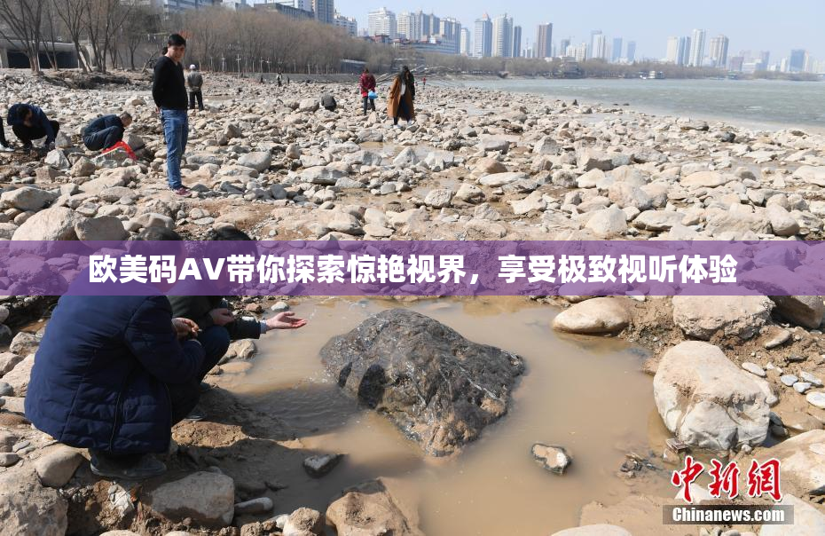 欧美码AV带你探索惊艳视界，享受极致视听体验