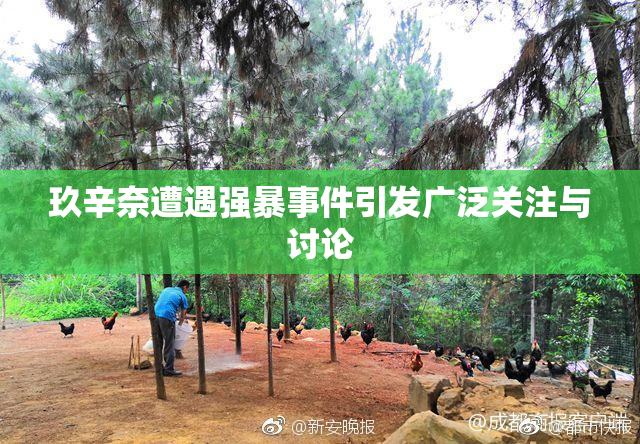 玖辛奈遭遇强暴事件引发广泛关注与讨论