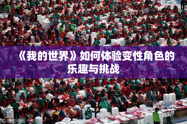 《我的世界》如何体验变性角色的乐趣与挑战
