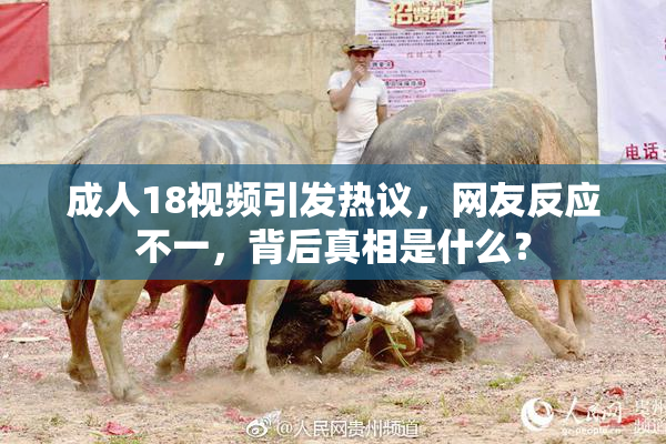 成人18视频引发热议，网友反应不一，背后真相是什么？