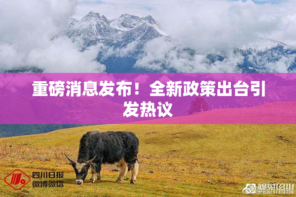 重磅消息发布！全新政策出台引发热议