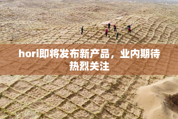 hori即将发布新产品，业内期待热烈关注
