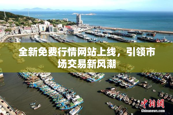 全新免费行情网站上线，引领市场交易新风潮