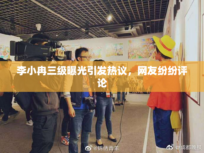 李小冉三级曝光引发热议，网友纷纷评论