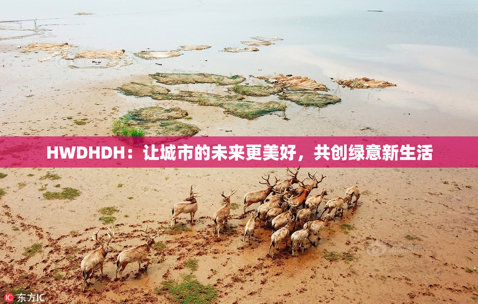 HWDHDH：让城市的未来更美好，共创绿意新生活