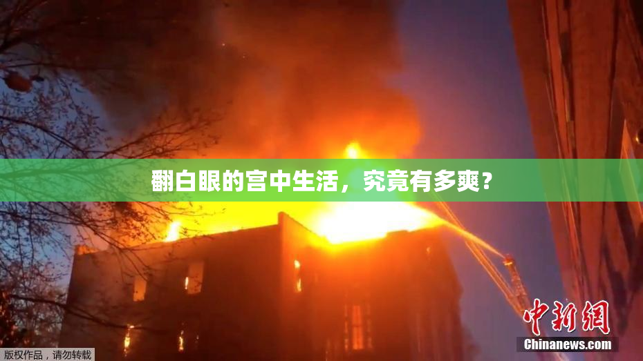 翻白眼的宫中生活，究竟有多爽？