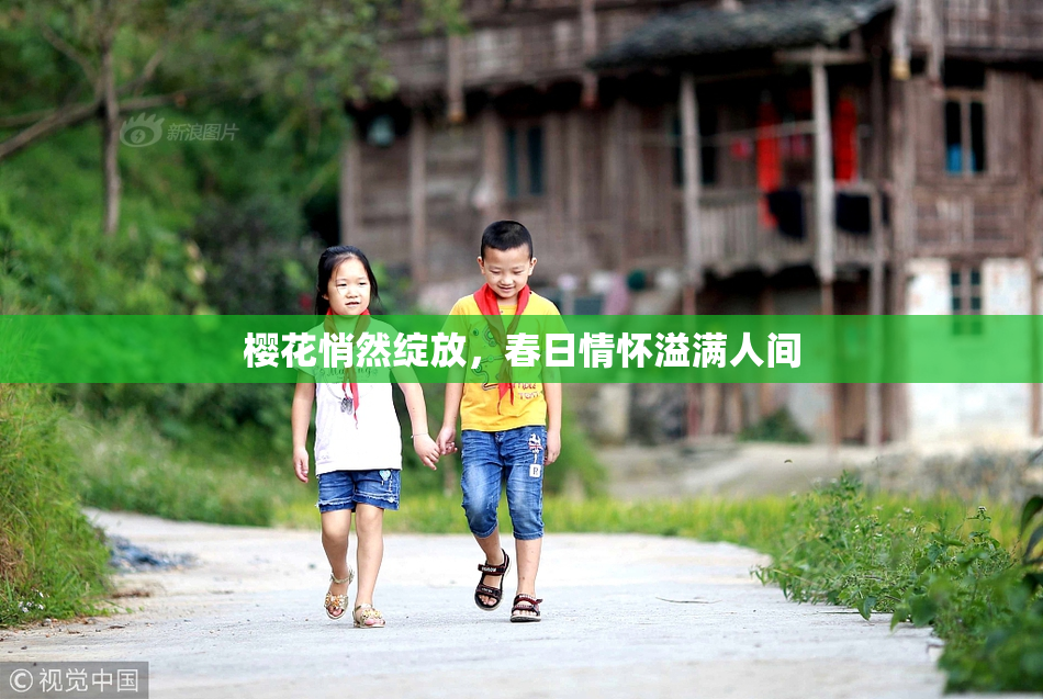 樱花悄然绽放，春日情怀溢满人间