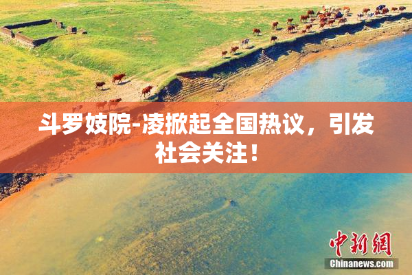 斗罗妓院-凌掀起全国热议，引发社会关注！