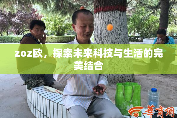 zoz欧，探索未来科技与生活的完美结合