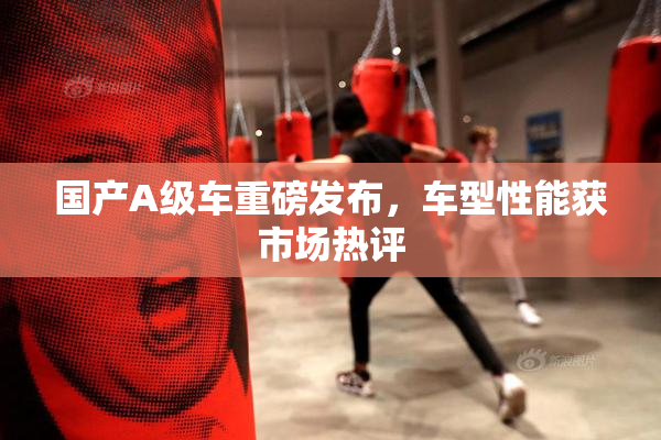 国产A级车重磅发布，车型性能获市场热评