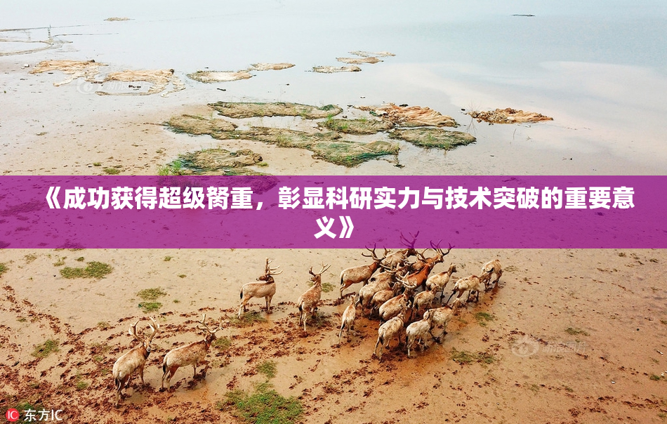 《成功获得超级胬重，彰显科研实力与技术突破的重要意义》