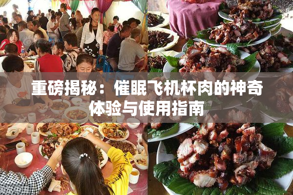 重磅揭秘：催眠飞机杯肉的神奇体验与使用指南