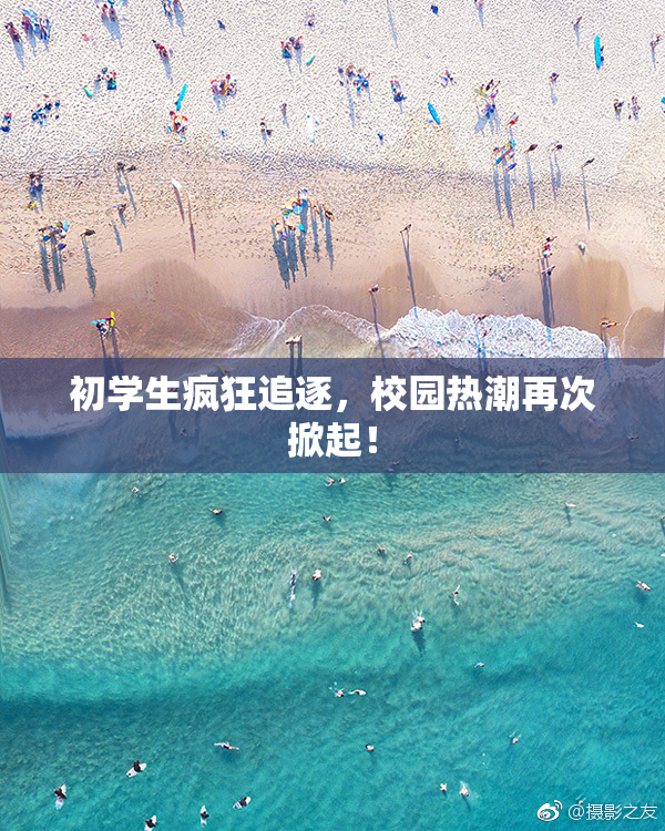 初学生疯狂追逐，校园热潮再次掀起！