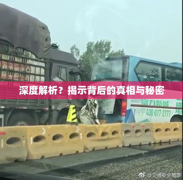 深度解析？揭示背后的真相与秘密