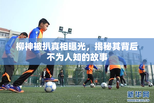 柳神被扒真相曝光，揭秘其背后不为人知的故事