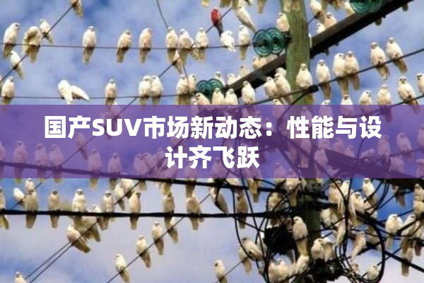 国产SUV市场新动态：性能与设计齐飞跃