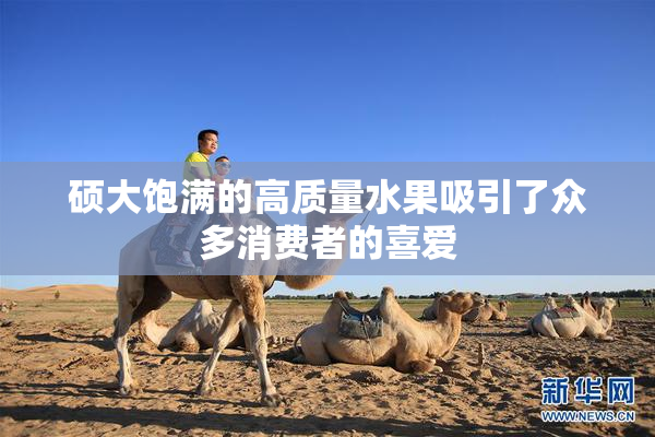硕大饱满的高质量水果吸引了众多消费者的喜爱