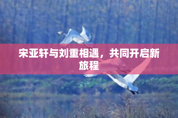 宋亚轩与刘重相遇，共同开启新旅程