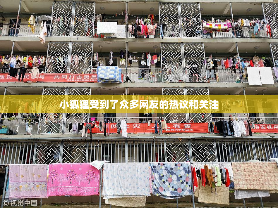 小狐狸受到了众多网友的热议和关注