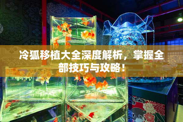 冷狐移植大全深度解析，掌握全部技巧与攻略！