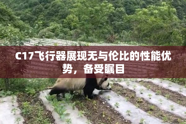 C17飞行器展现无与伦比的性能优势，备受瞩目