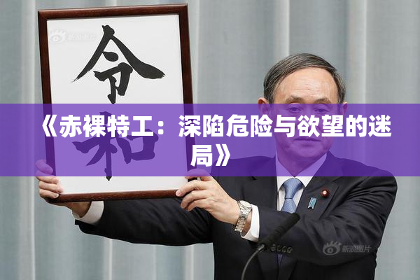 《赤裸特工：深陷危险与欲望的迷局》