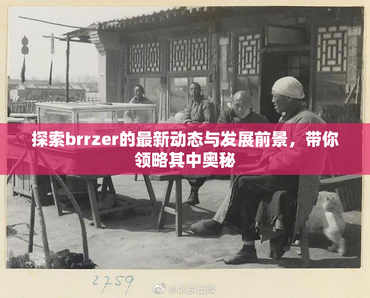 探索brrzer的最新动态与发展前景，带你领略其中奥秘