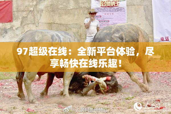 97超级在线：全新平台体验，尽享畅快在线乐趣！
