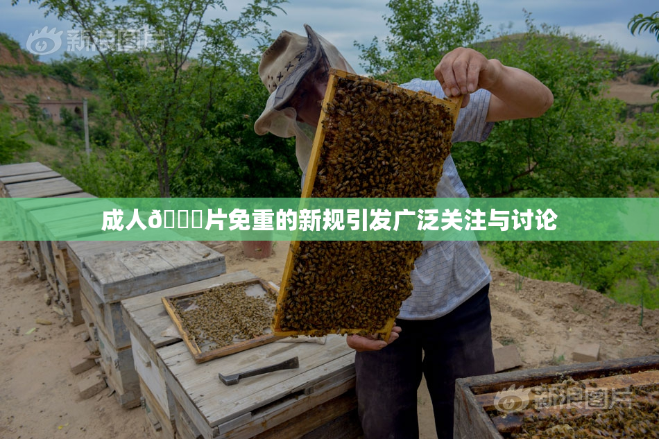 成人🔞片免重的新规引发广泛关注与讨论