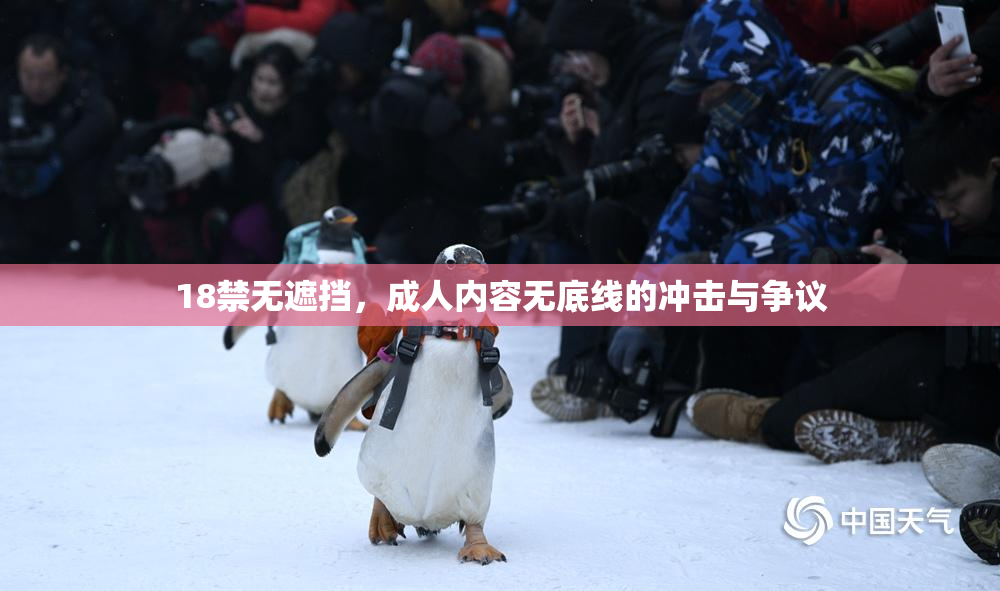 18禁无遮挡，成人内容无底线的冲击与争议