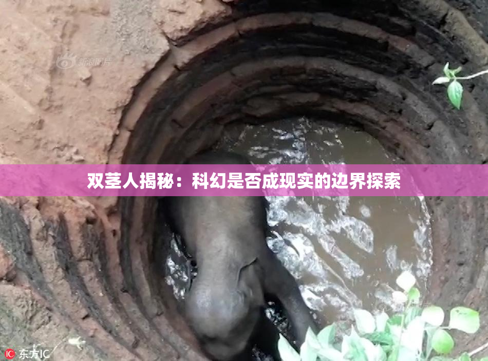 双茎人揭秘：科幻是否成现实的边界探索