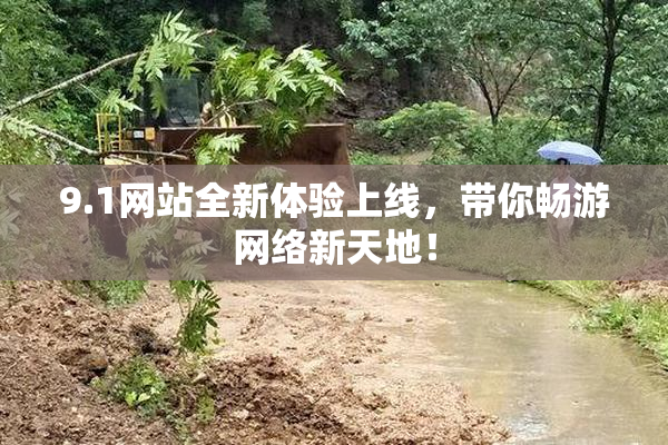 9.1网站全新体验上线，带你畅游网络新天地！