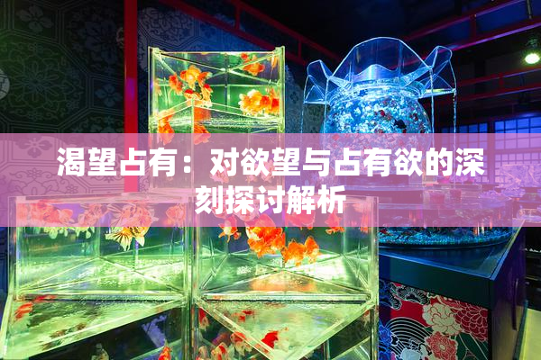渴望占有：对欲望与占有欲的深刻探讨解析