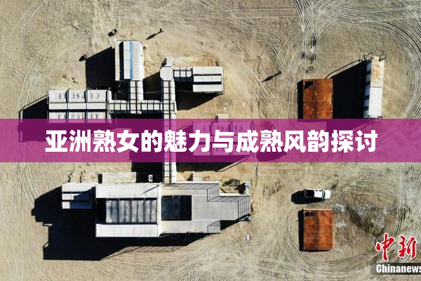 亚洲熟女的魅力与成熟风韵探讨