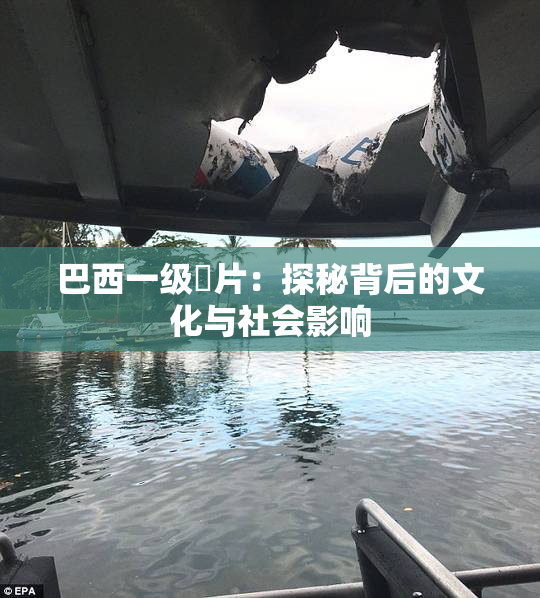 巴西一级婬片：探秘背后的文化与社会影响